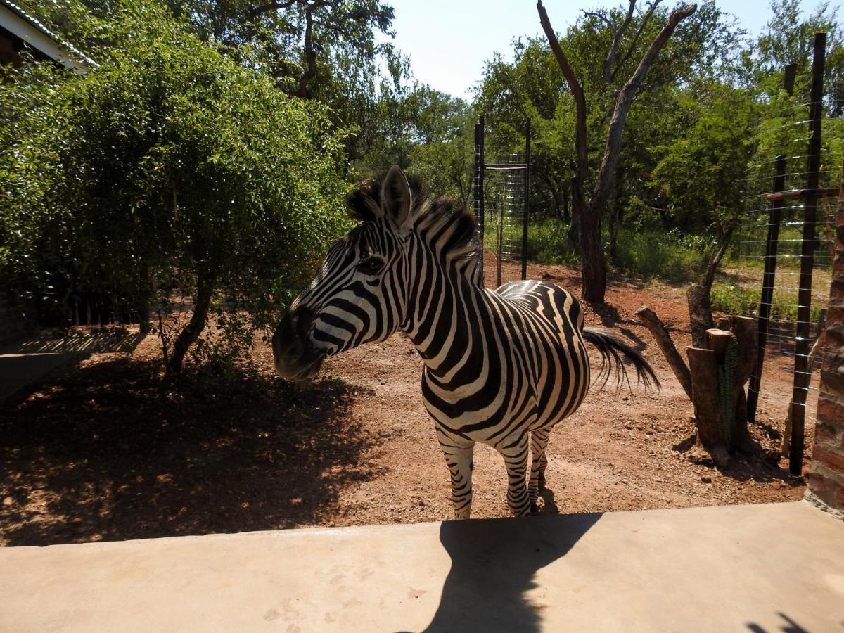 Kruger'S Retreat House & Kruger'S Rest Studio Marloth Park Dış mekan fotoğraf